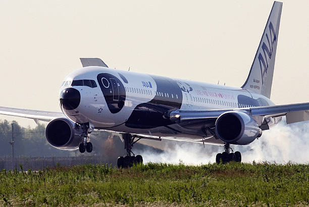 New panda-designed All Nippon Airways Boeing 767-300ER touches down at Narita international airport for its press preview, 24 July 2007. ANA will...