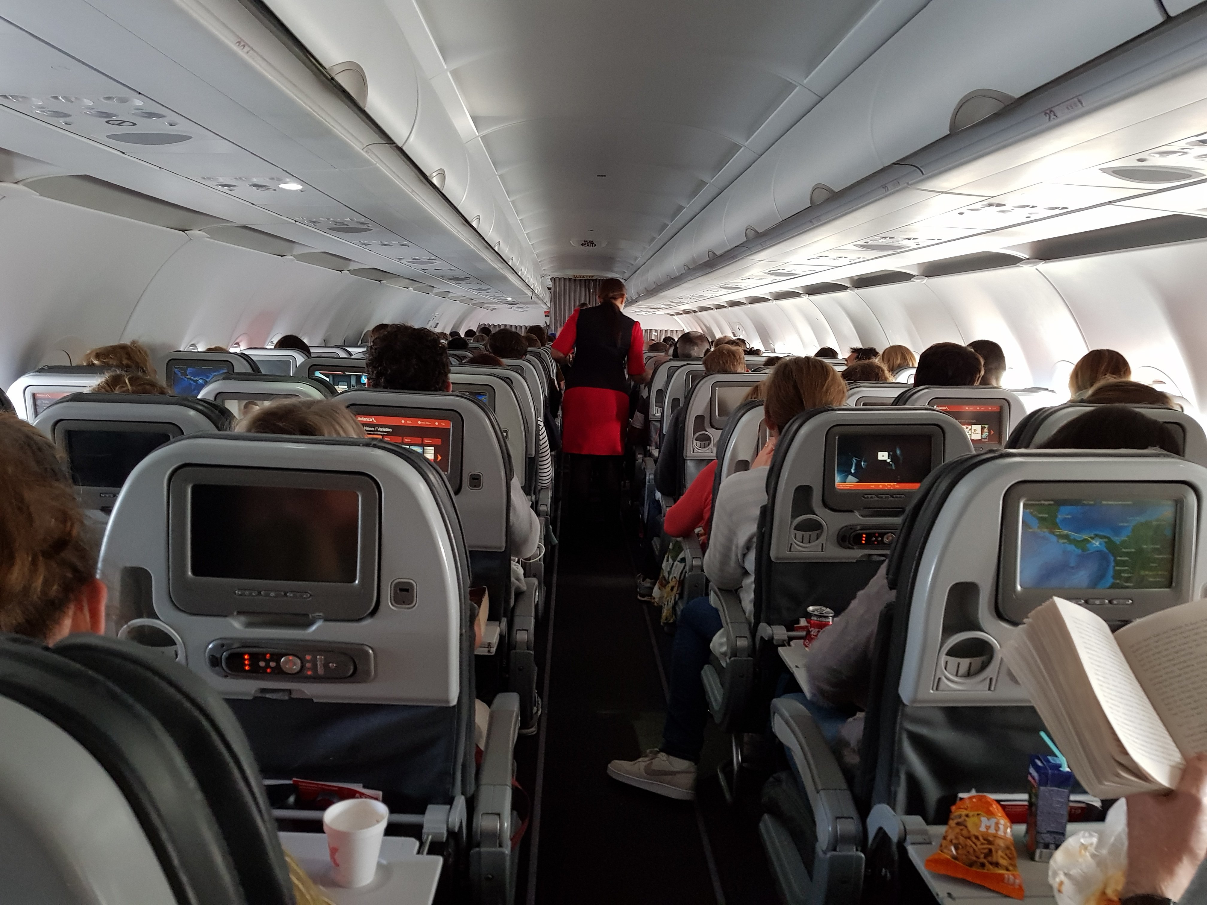 Avianca Airbus A319 flying