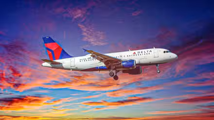 Delta Air Lines Airbus A319