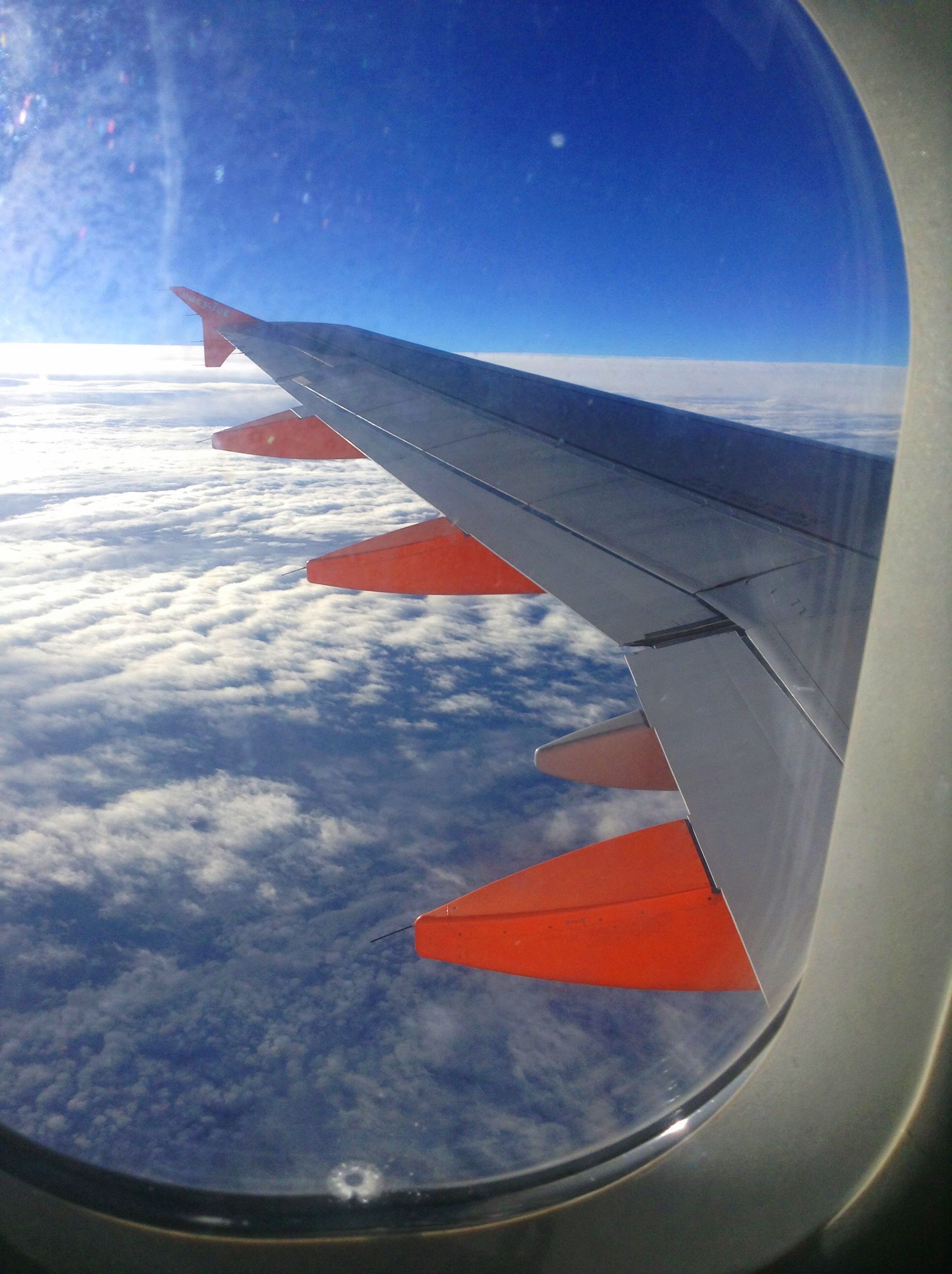The Majesty of Flying