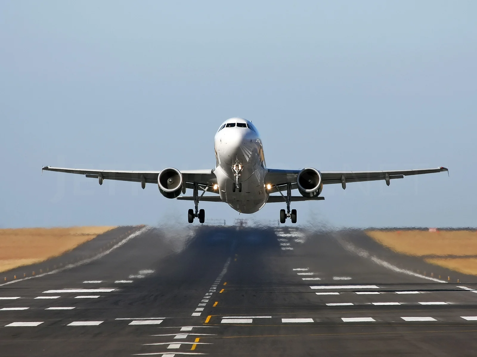 Emirates Airbus A319 flying