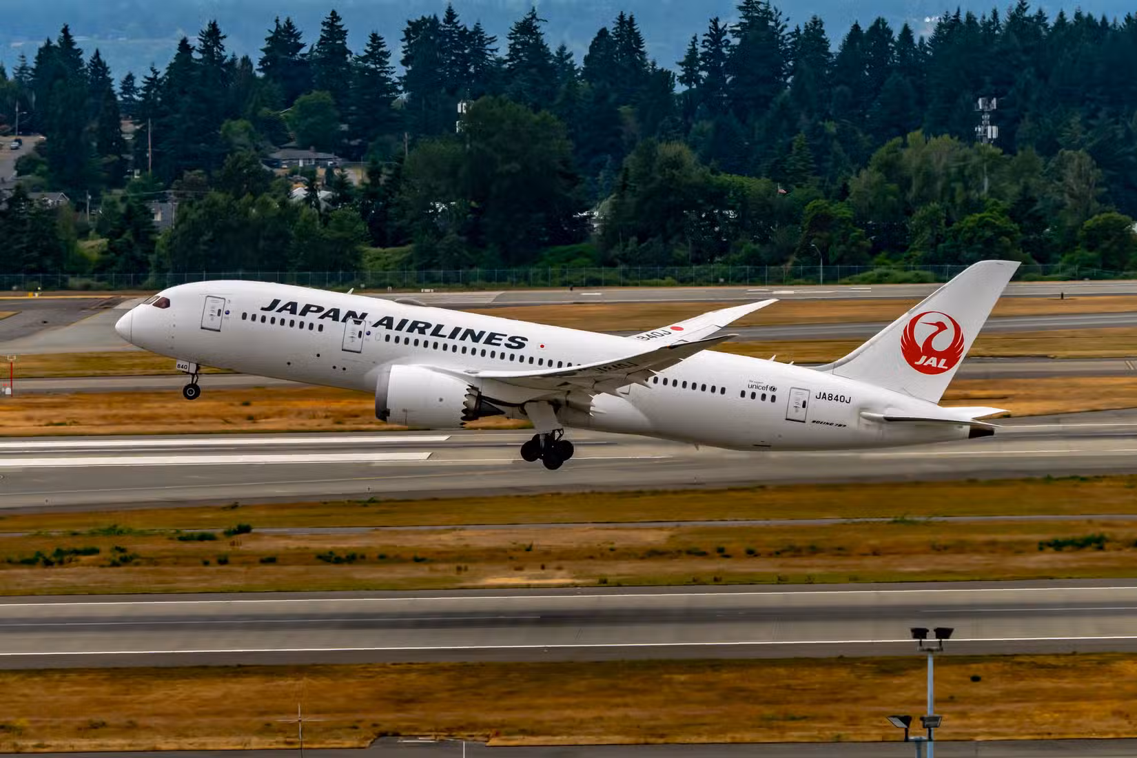 Japan Airlines Boeing 787 taking off
