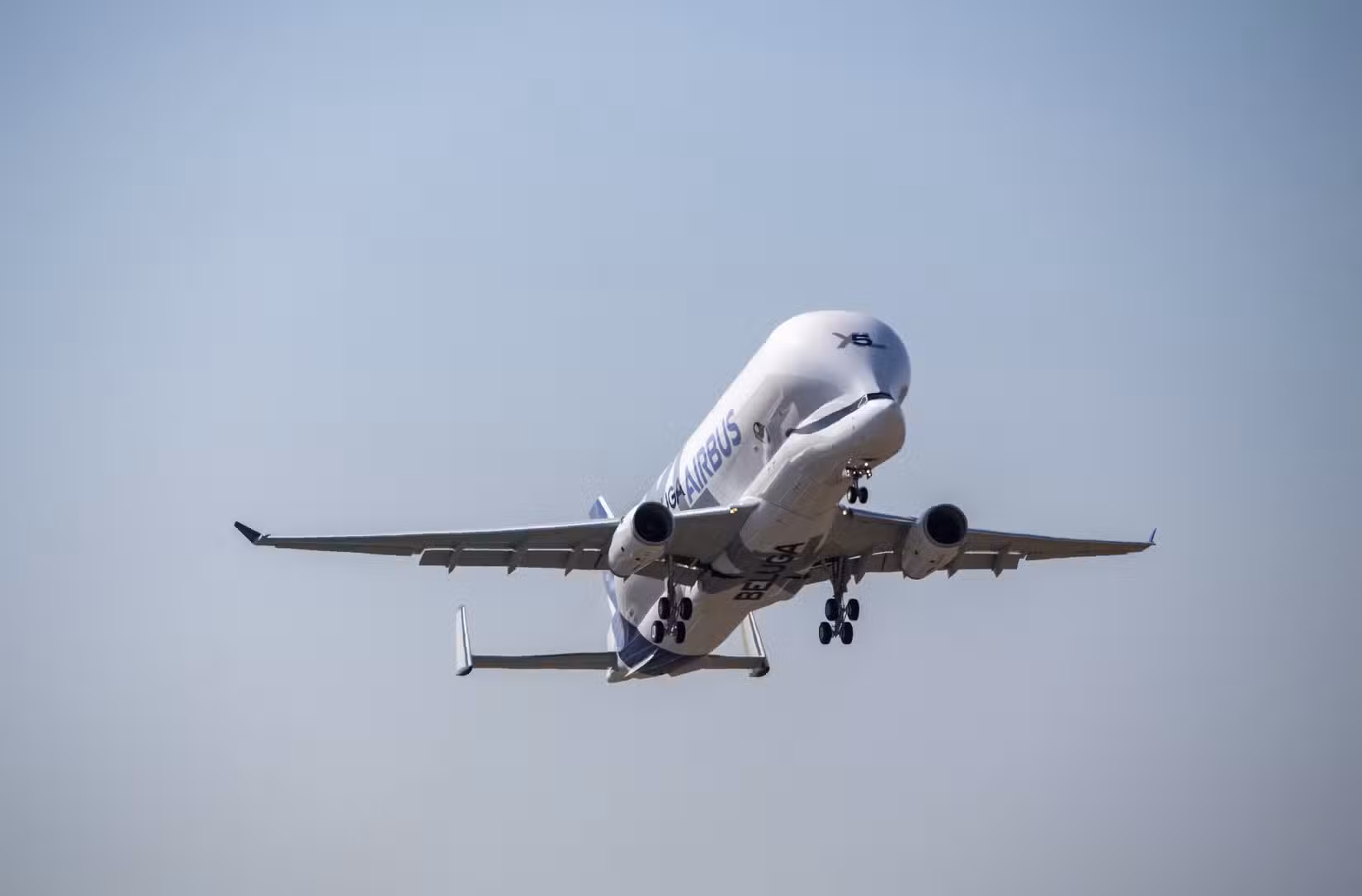 Airbus BelugaXL flying