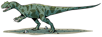 Allosaurus reference
