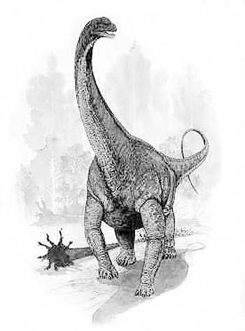 Argentinosaurus reference