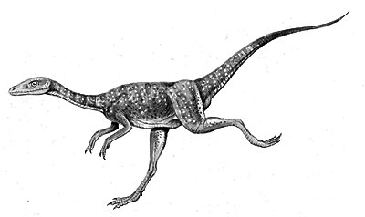 Compsognathus reference