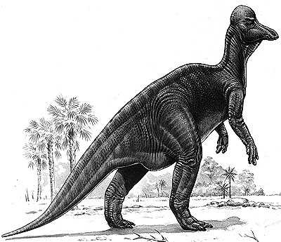Corythosaurus reference