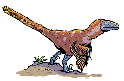 Deinonychus reference