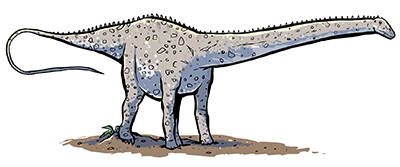 Diplodocus reference