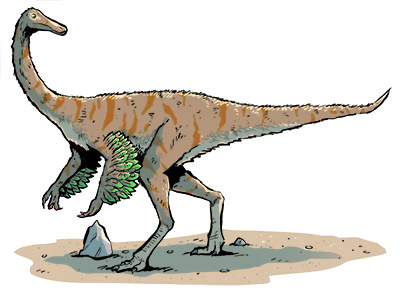 Gallimimus reference