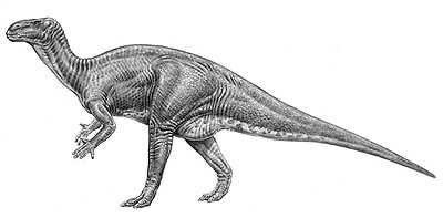 Iguanodon reference