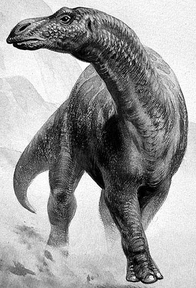 Maiasaura reference