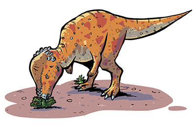 Pachycephalosaurus reference