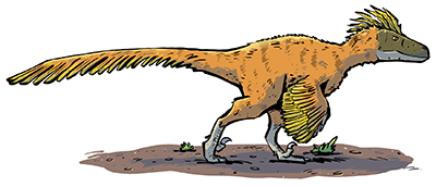 Utahraptor reference