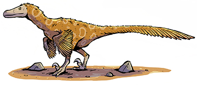 Velociraptor reference
