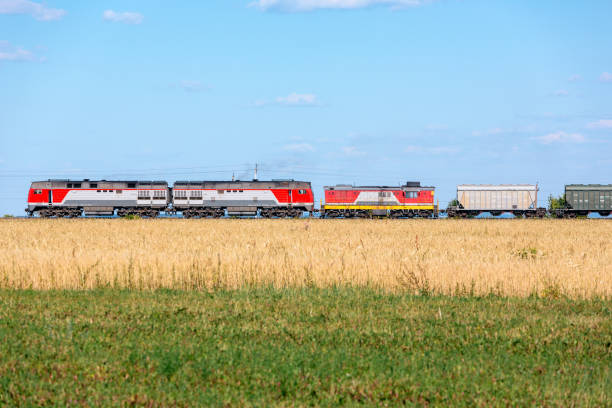 powerful diesel locomotive moves past a wheat field - locomotive side view stock pictures, royalty-free photos & images