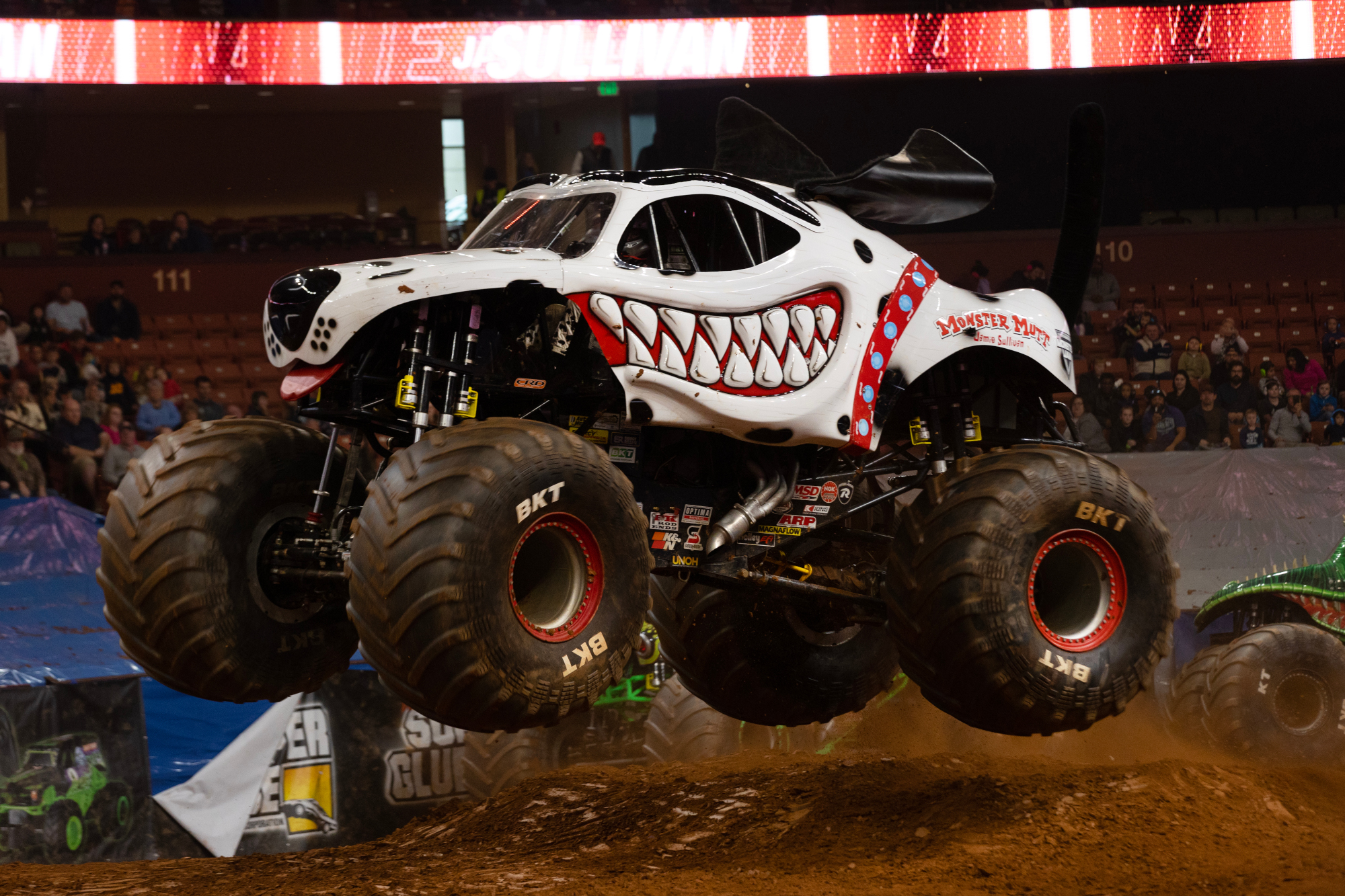 Monster Mutt Dalmatian