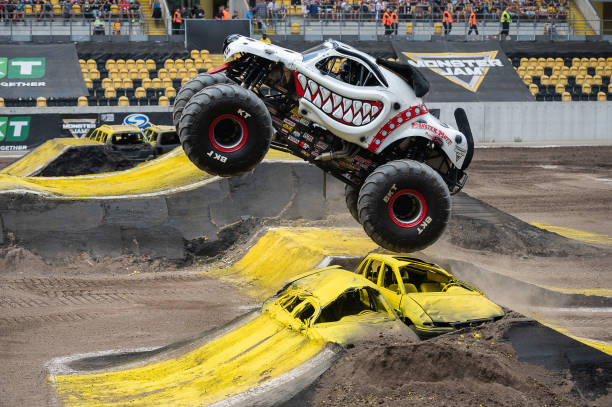 Monster Mutt Dalmatian reference