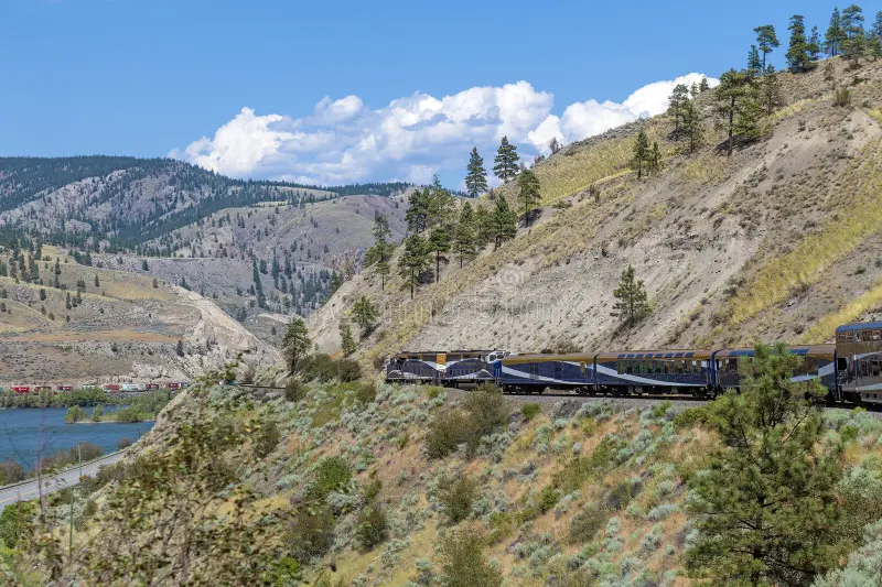 Rocky mountaineer locomotive with gold and silver leaf train wagons along Fraser River, British Columbia, Canada. Rocky mountaineer train stock images, royalty-free photos and pictures