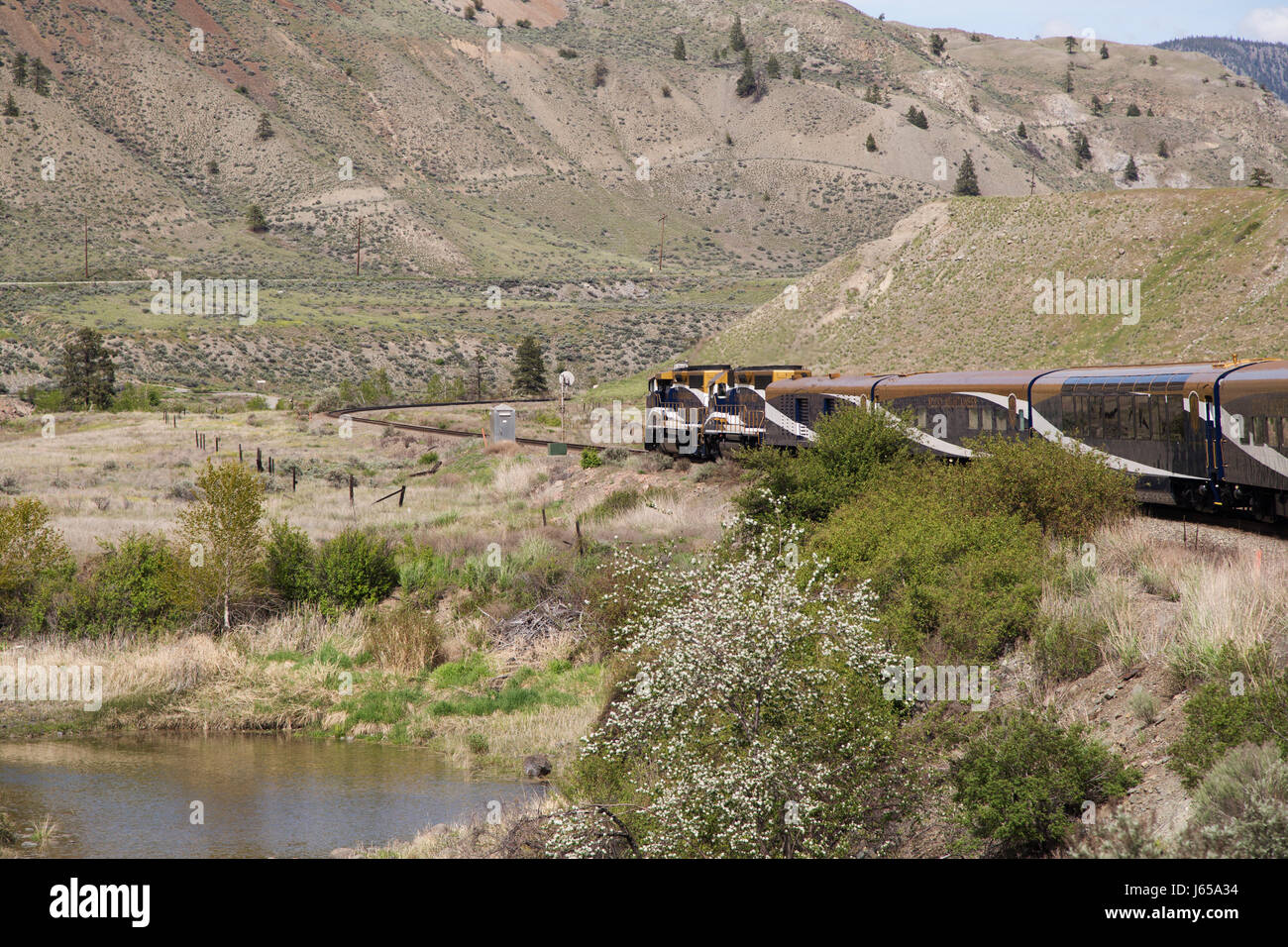 The Rocky Mountaineer train runs in western Canada. The train runs through a wooded valley. - Stock Image