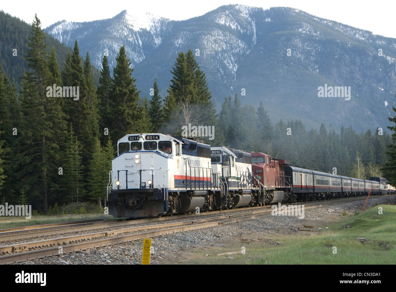 Rocky Mountaineer tourist train at Banff, Alberta, Canada - Stock Image